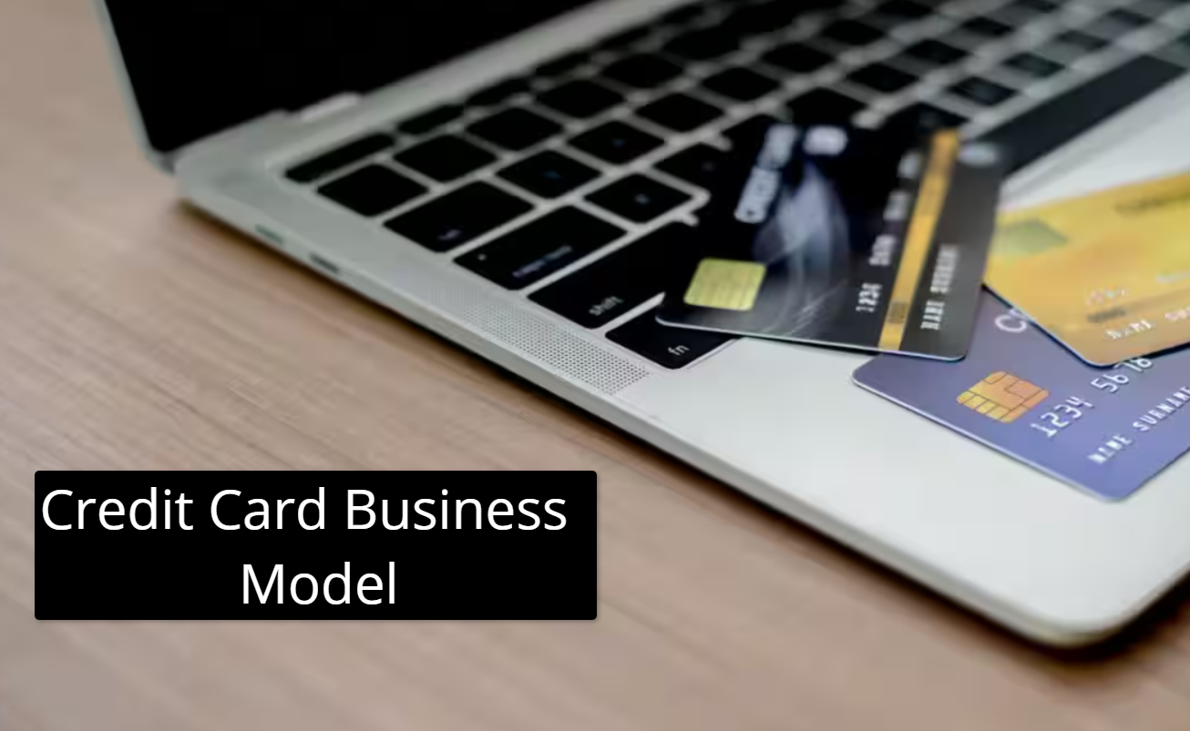 Credit Card Business Model | How Credit Card Companies Make Money?