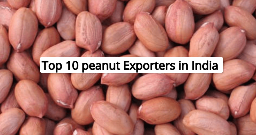 Top 10 Famous Peanut Exporters In India