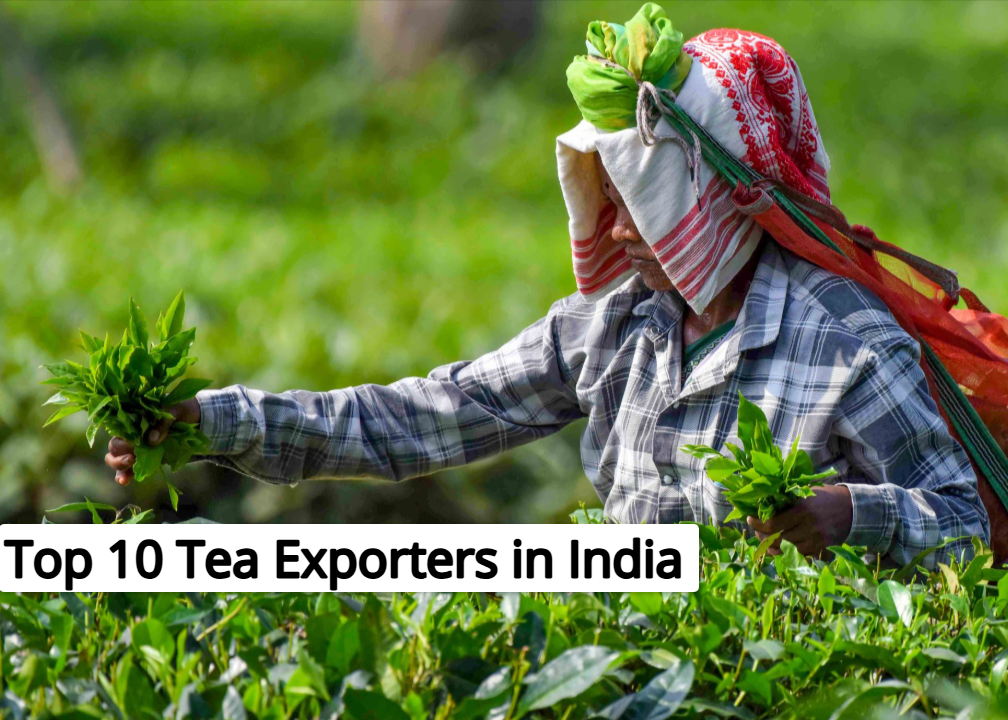 top 10 Tea Exporters in India